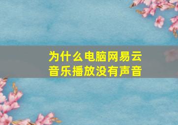 为什么电脑网易云音乐播放没有声音