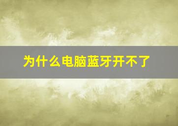 为什么电脑蓝牙开不了