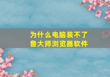 为什么电脑装不了鲁大师浏览器软件