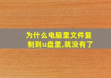 为什么电脑里文件复制到u盘里,就没有了