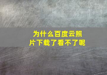 为什么百度云照片下载了看不了呢