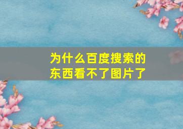 为什么百度搜索的东西看不了图片了