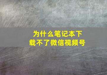 为什么笔记本下载不了微信视频号