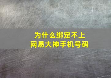 为什么绑定不上网易大神手机号码