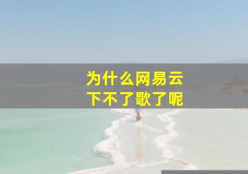 为什么网易云下不了歌了呢