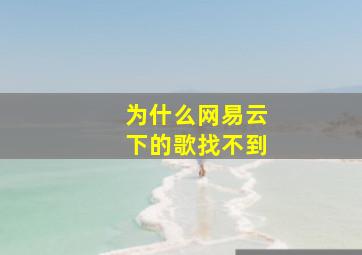 为什么网易云下的歌找不到