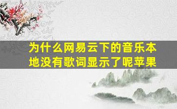 为什么网易云下的音乐本地没有歌词显示了呢苹果