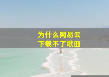 为什么网易云下载不了歌曲