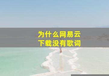 为什么网易云下载没有歌词