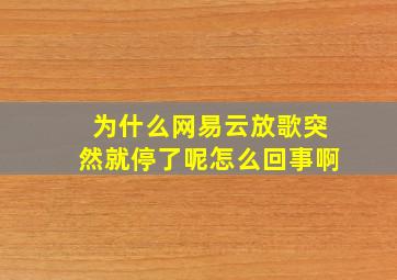 为什么网易云放歌突然就停了呢怎么回事啊