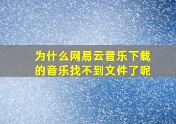 为什么网易云音乐下载的音乐找不到文件了呢