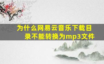 为什么网易云音乐下载目录不能转换为mp3文件