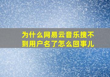 为什么网易云音乐搜不到用户名了怎么回事儿