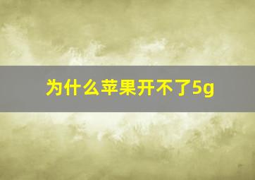 为什么苹果开不了5g