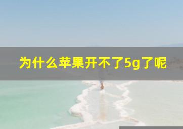 为什么苹果开不了5g了呢