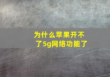 为什么苹果开不了5g网络功能了