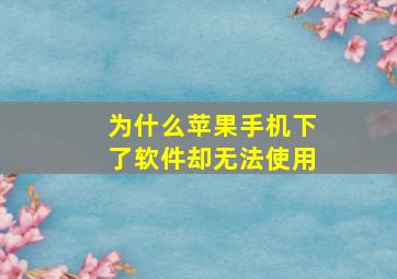 为什么苹果手机下了软件却无法使用