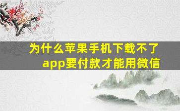 为什么苹果手机下载不了app要付款才能用微信