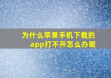 为什么苹果手机下载的app打不开怎么办呢