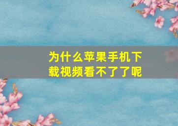 为什么苹果手机下载视频看不了了呢