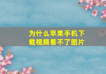 为什么苹果手机下载视频看不了图片