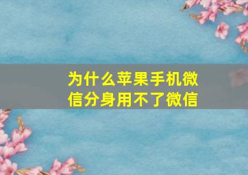 为什么苹果手机微信分身用不了微信