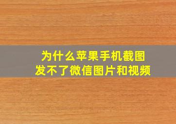 为什么苹果手机截图发不了微信图片和视频