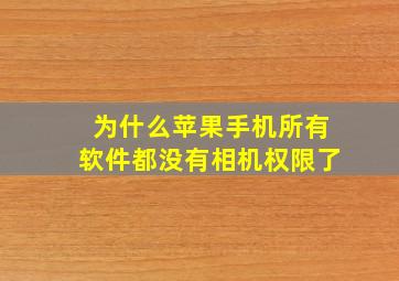 为什么苹果手机所有软件都没有相机权限了