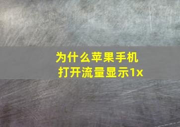 为什么苹果手机打开流量显示1x