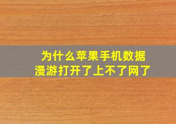 为什么苹果手机数据漫游打开了上不了网了