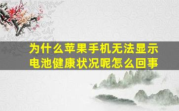 为什么苹果手机无法显示电池健康状况呢怎么回事