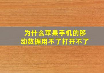 为什么苹果手机的移动数据用不了打开不了