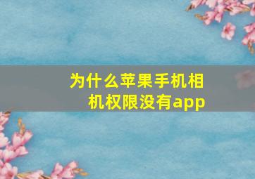 为什么苹果手机相机权限没有app