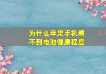 为什么苹果手机看不到电池健康程度