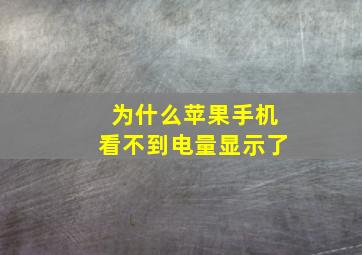 为什么苹果手机看不到电量显示了