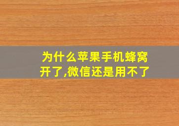 为什么苹果手机蜂窝开了,微信还是用不了