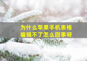 为什么苹果手机表格编辑不了怎么回事呀