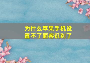 为什么苹果手机设置不了面容识别了