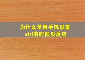 为什么苹果手机设置siri的时候没反应