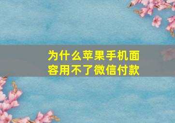 为什么苹果手机面容用不了微信付款