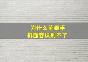 为什么苹果手机面容识别不了