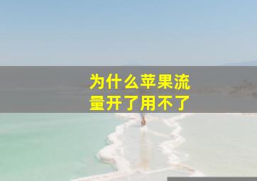 为什么苹果流量开了用不了