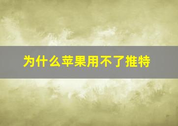 为什么苹果用不了推特