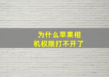 为什么苹果相机权限打不开了