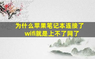 为什么苹果笔记本连接了wifi就是上不了网了