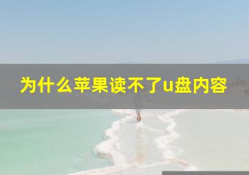 为什么苹果读不了u盘内容