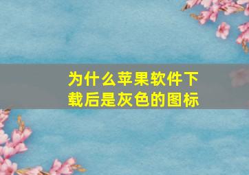 为什么苹果软件下载后是灰色的图标