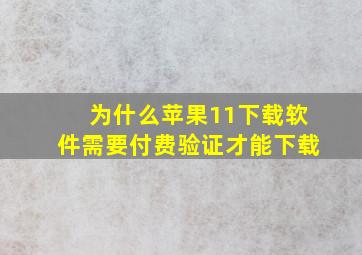 为什么苹果11下载软件需要付费验证才能下载