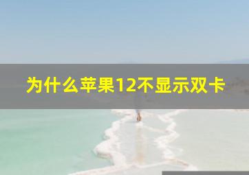 为什么苹果12不显示双卡