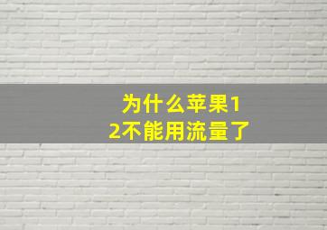 为什么苹果12不能用流量了